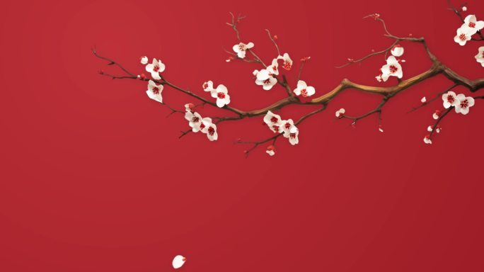 中式梅花动态花瓣飘落