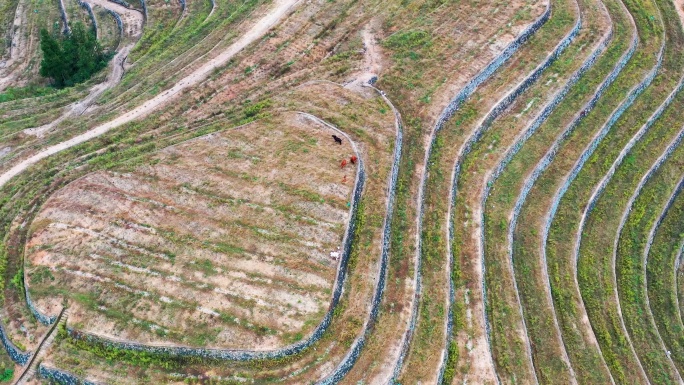 高山大地，山坡上的土地，台地