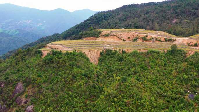 高山大地，山坡上的土地，台地