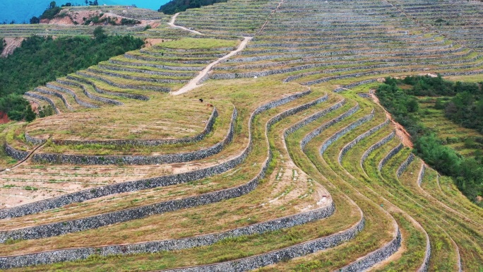 高山大地，山坡上的土地，台地