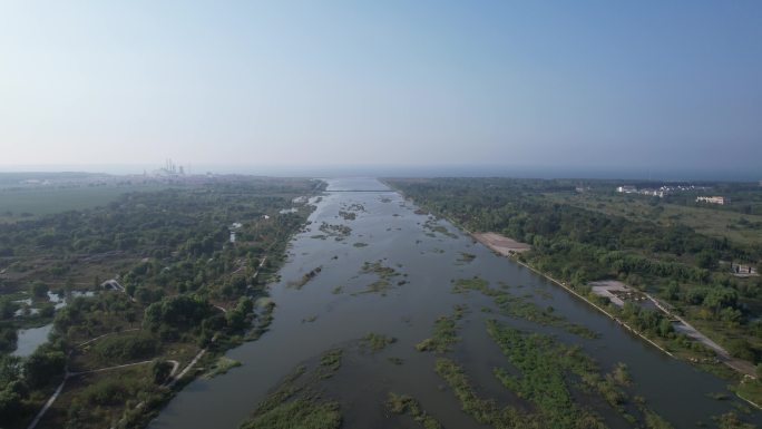 DJI_0604黄水河湿地