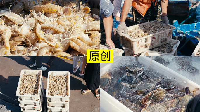 海鲜市场码头港口威海4K