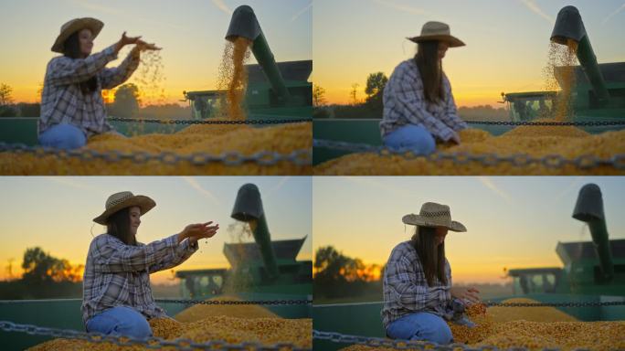 夕阳下，快乐的女农学家坐在联合收割机旁的玉米粒堆上拍照，把谷物卸到拖车里