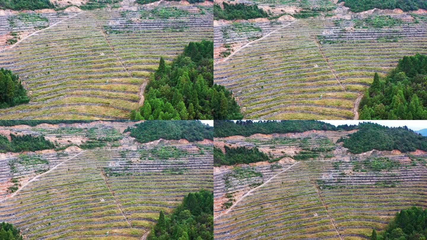 高山大地，山坡上的土地，台地