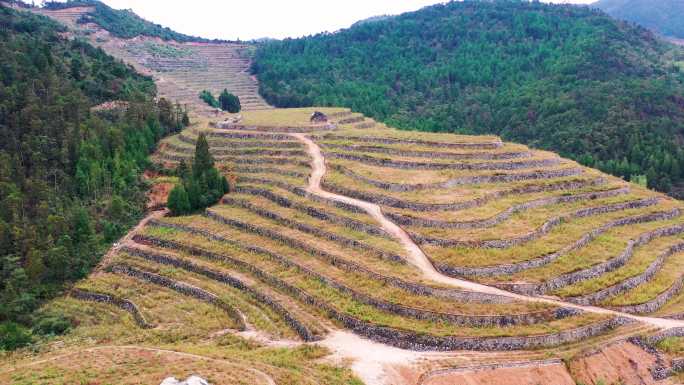 高山大地，山坡上的土地，台地