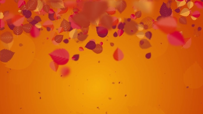 橙色抽象背景与红色落叶。秋天循环屏幕保护程序与美丽的模糊散景。副本的空间。