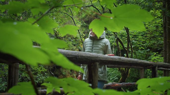 一名妇女在雨中在森林中的木桥上欣赏大自然。女孩走在小树林里。阴天的春天或夏天。