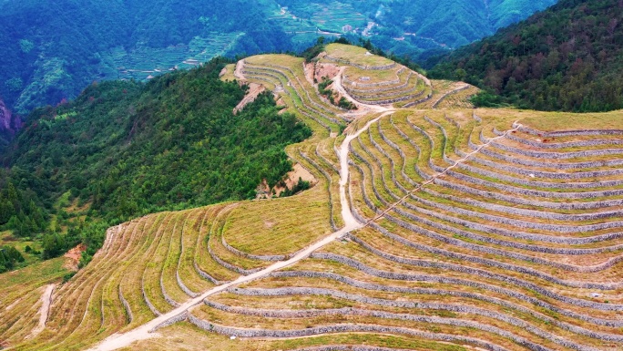 高山大地，山坡上的土地，台地