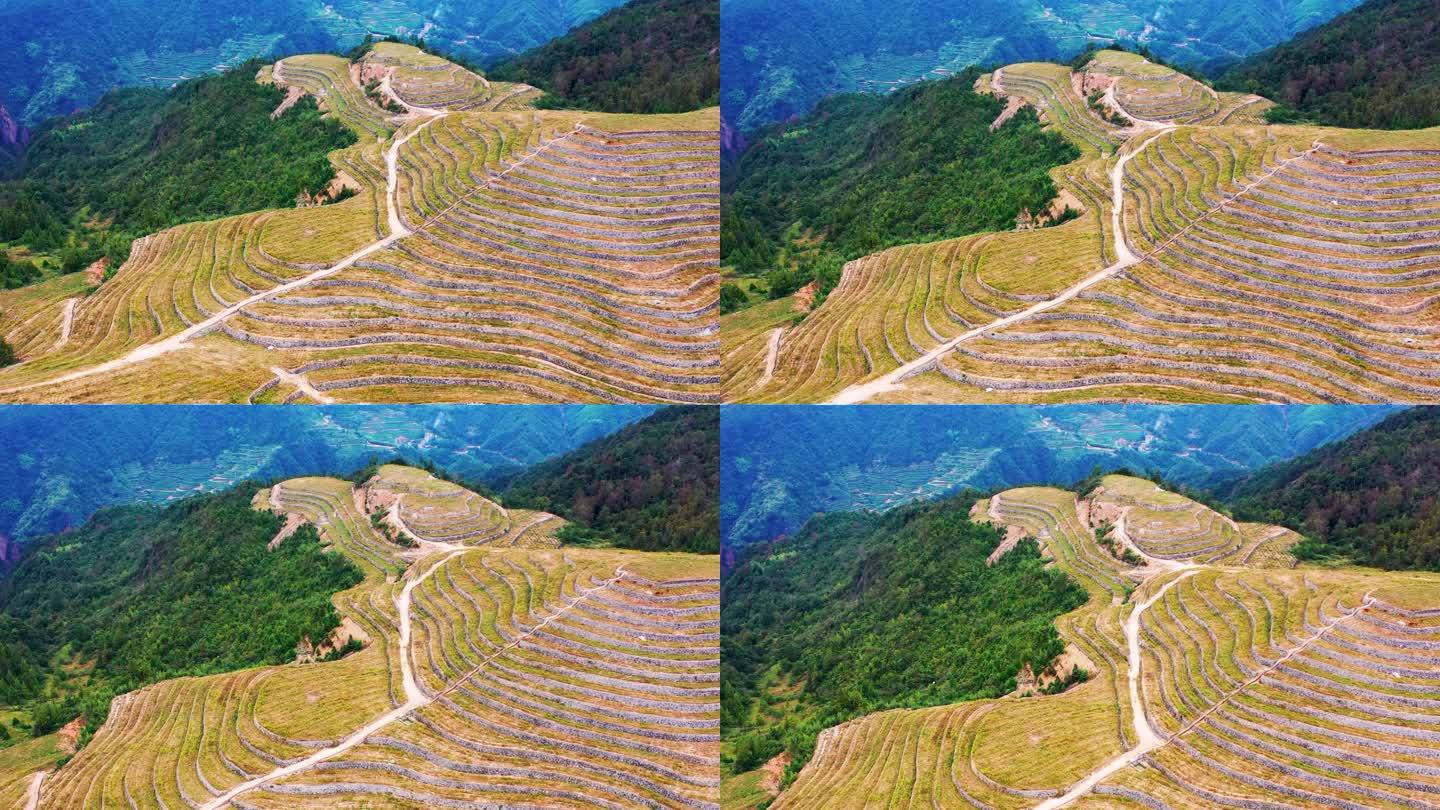 高山大地，山坡上的土地，台地