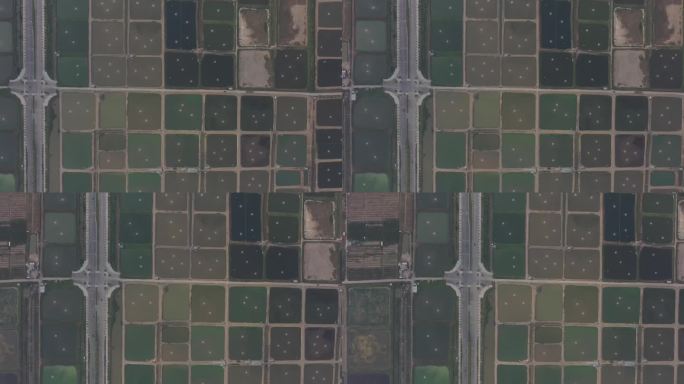 4K-Log-航拍广州南沙中心沟水产养殖