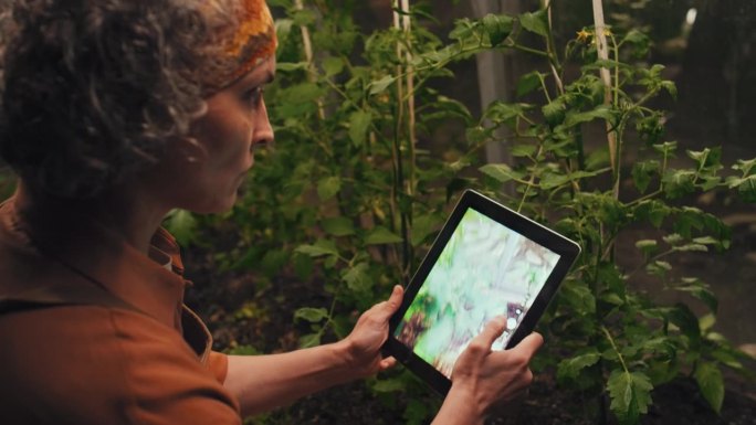 一名妇女正在用数码平板电脑为她的植物拍照