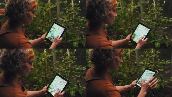 一名妇女正在用数码平板电脑为她的植物拍照