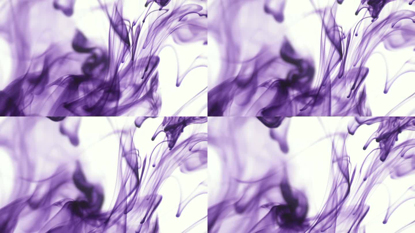 紫色或紫罗兰色食物颜色墨水在白色背景上的水中滴落。抽象的食物颜色墨水滴在水中的背景为素材设计。384