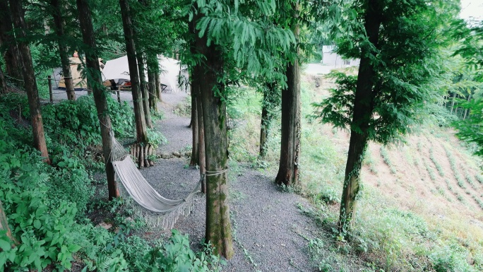 吊床莫干山森林营地风景空镜头