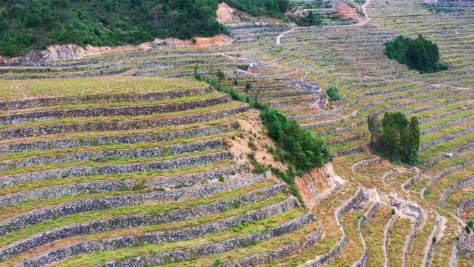 高山大地，山坡上的土地，台地