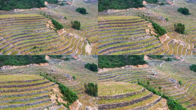 高山大地，山坡上的土地，台地