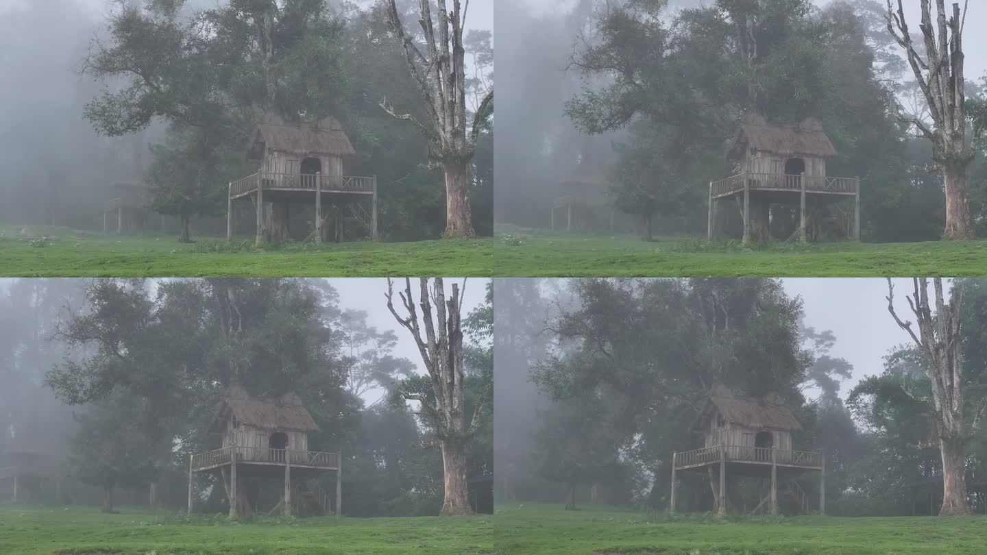 树上的童话小木屋在雾中