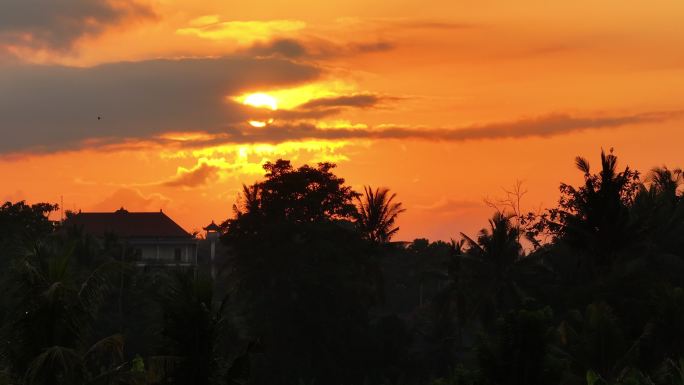 夕阳下的热带气候