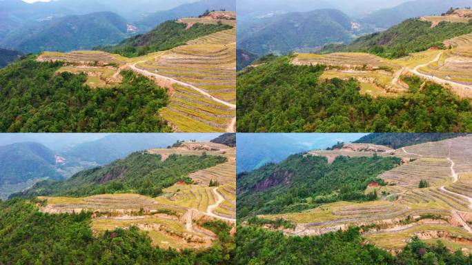 高山大地，山坡上的土地，台地