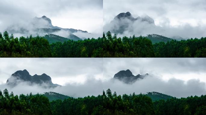 中国自然风光素材：龙头山晨雾