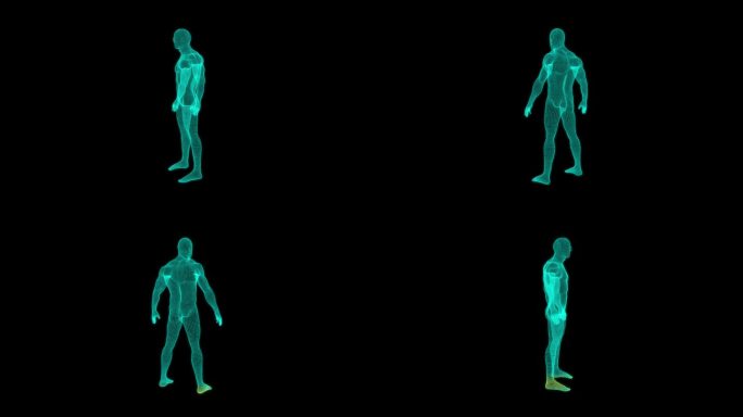 扫描人体三维线框人体模型三维线稿