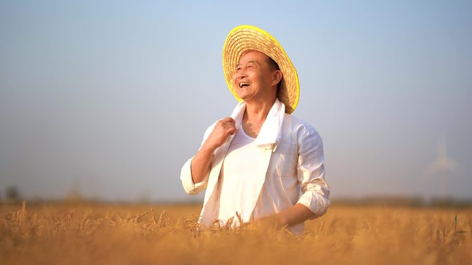 大米 米稻穗 稻谷