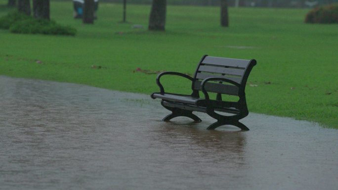 雨水公园-慢镜头