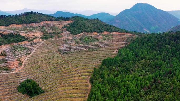 高山大地，山坡上的土地，台地