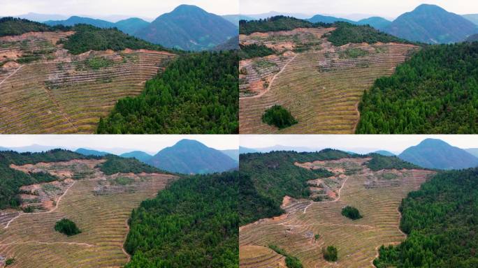 高山大地，山坡上的土地，台地