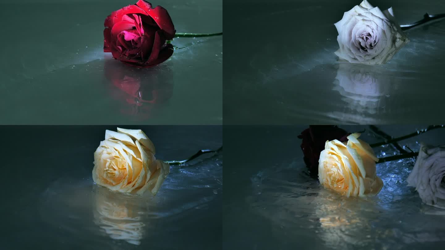 玫瑰花落入水中孤独意境唯美