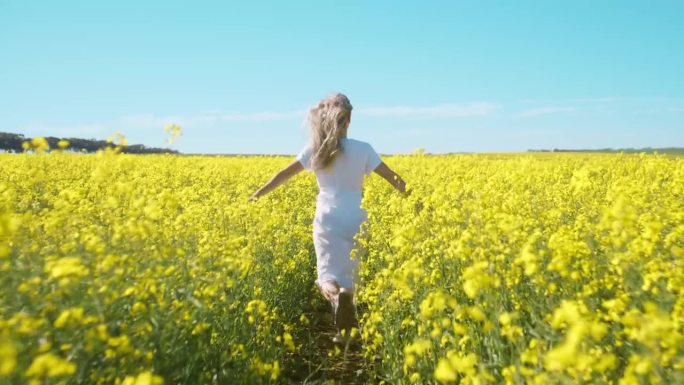 花田，背部和妇女在农村油菜籽农场争取自由。后景，大自然和人在暑假里在草地上奔跑冒险，在头发上吹风或在