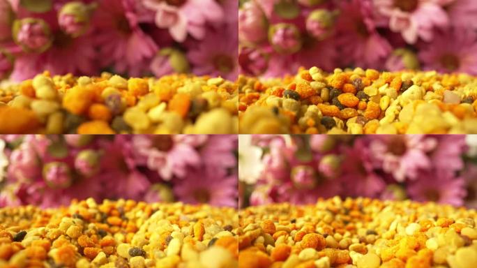 蜜蜂微距探针镜头采集的花粉