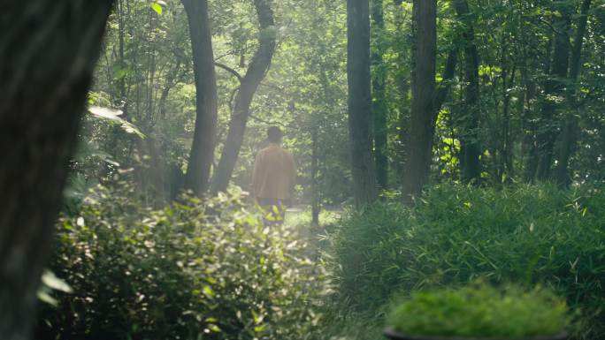 男士，摄影师在森林中漫步 在森林中拍照