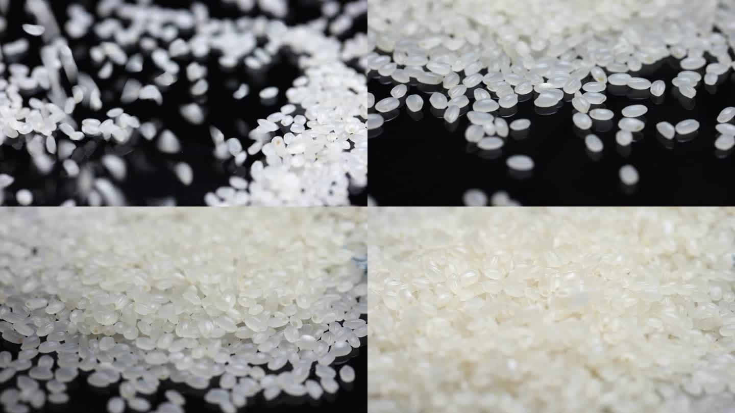 大米水稻 稻谷 家常大米 主食 农作物
