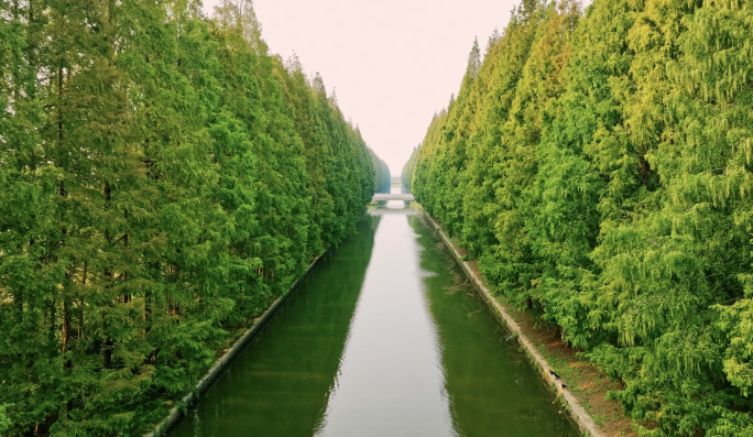 航拍河道河道治理生态保护城市河道堤岸绿化