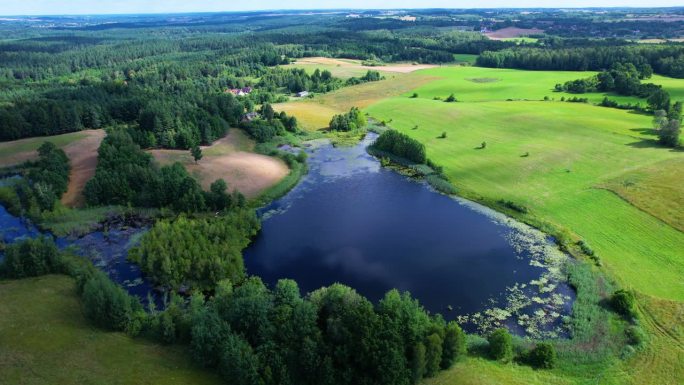 鸟瞰乡村景观。波兰农场，乡村风光农田夏季森林。欧洲家庭农场进入绿色土地。鸟瞰乡村景观欧洲。波兰农场，