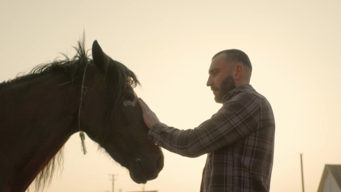 一个年轻人在日落时分拍拍马。留着胡子的年轻农夫在农场照料马匹。