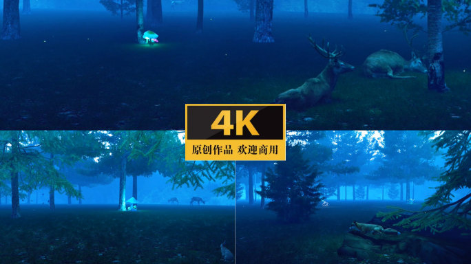 4K宽屏  夜色森林 森林鹿 自然 鹿