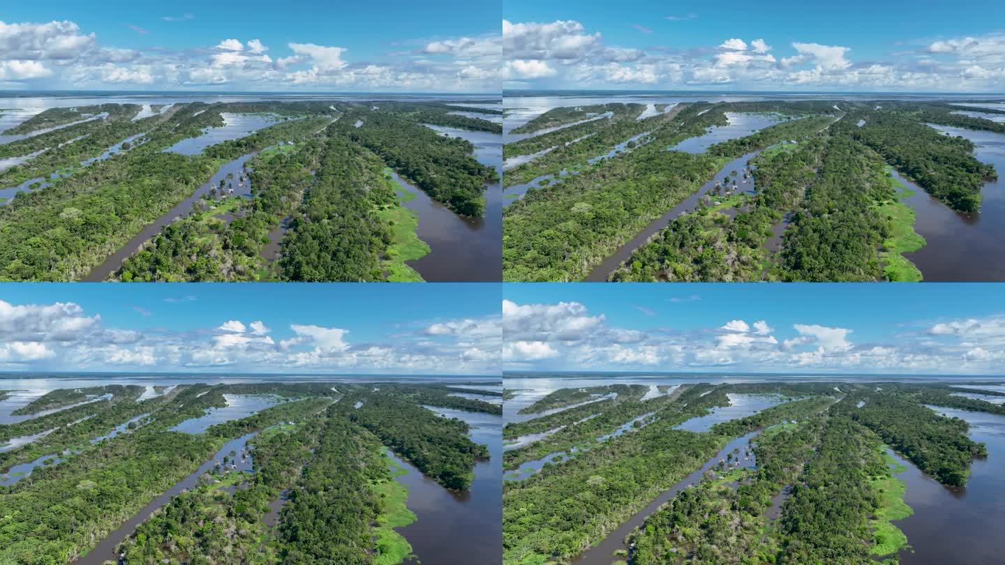 令人惊叹的亚马逊森林景观在巴西亚马逊州。