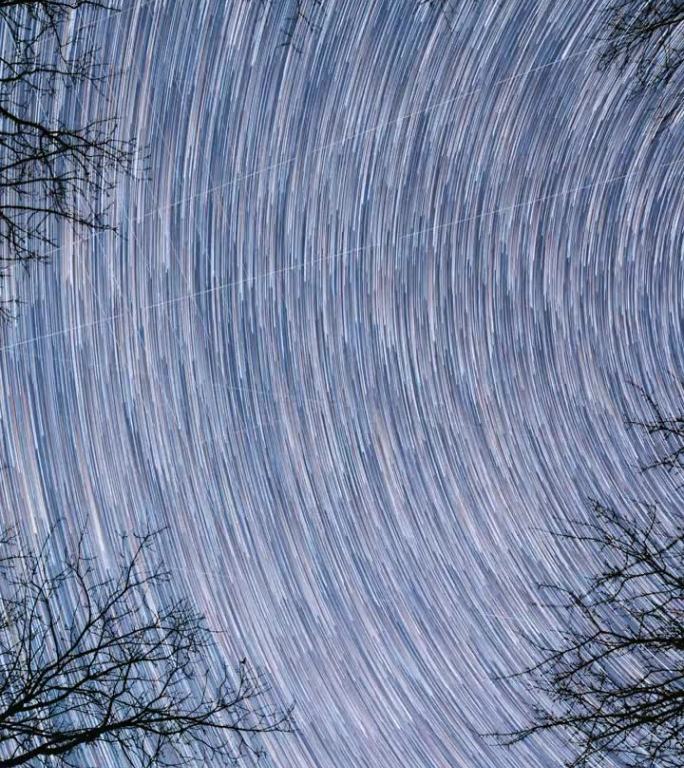 4k延时旋转轨迹的星星在树冠没有树叶。夜间旋转星空背景。星线在天空中移动。惊人的不寻常的星星效应在天