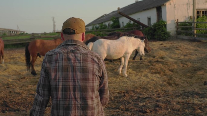 一个年轻的农场工人的肖像，背景是篱笆和马。一个年轻的农民在马厩里照看马。