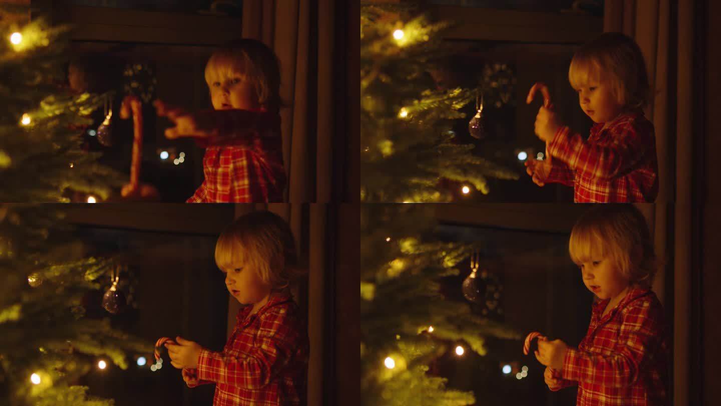 快乐的小女孩在家里圣诞树旁拿着拐杖糖