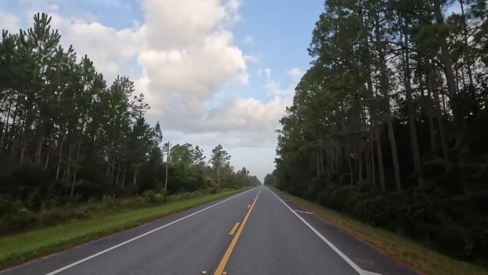 黎明时分，司机沿着一望无际的空旷笔直的道路行驶，穿过低洼的松林，头顶上飘着一块块浮云