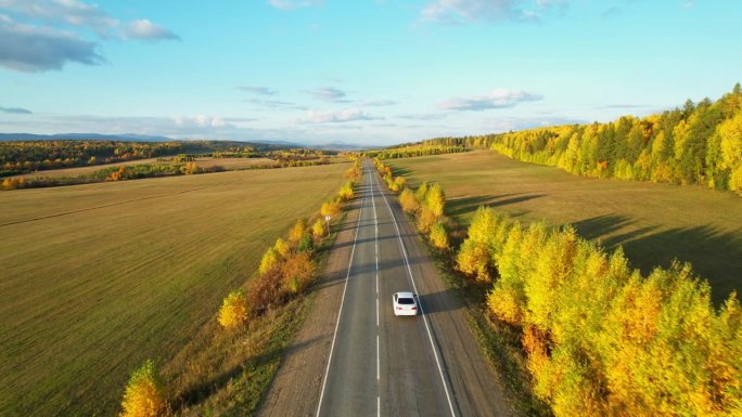 秋天，一辆车行驶在柏油路上，鸟瞰图。风景如画地区的一条路。树林间的路。公路旅行。无人机跟着那辆白色的