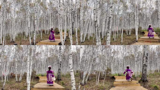 秋天白桦林一位蒙古族女孩在林中奔跑