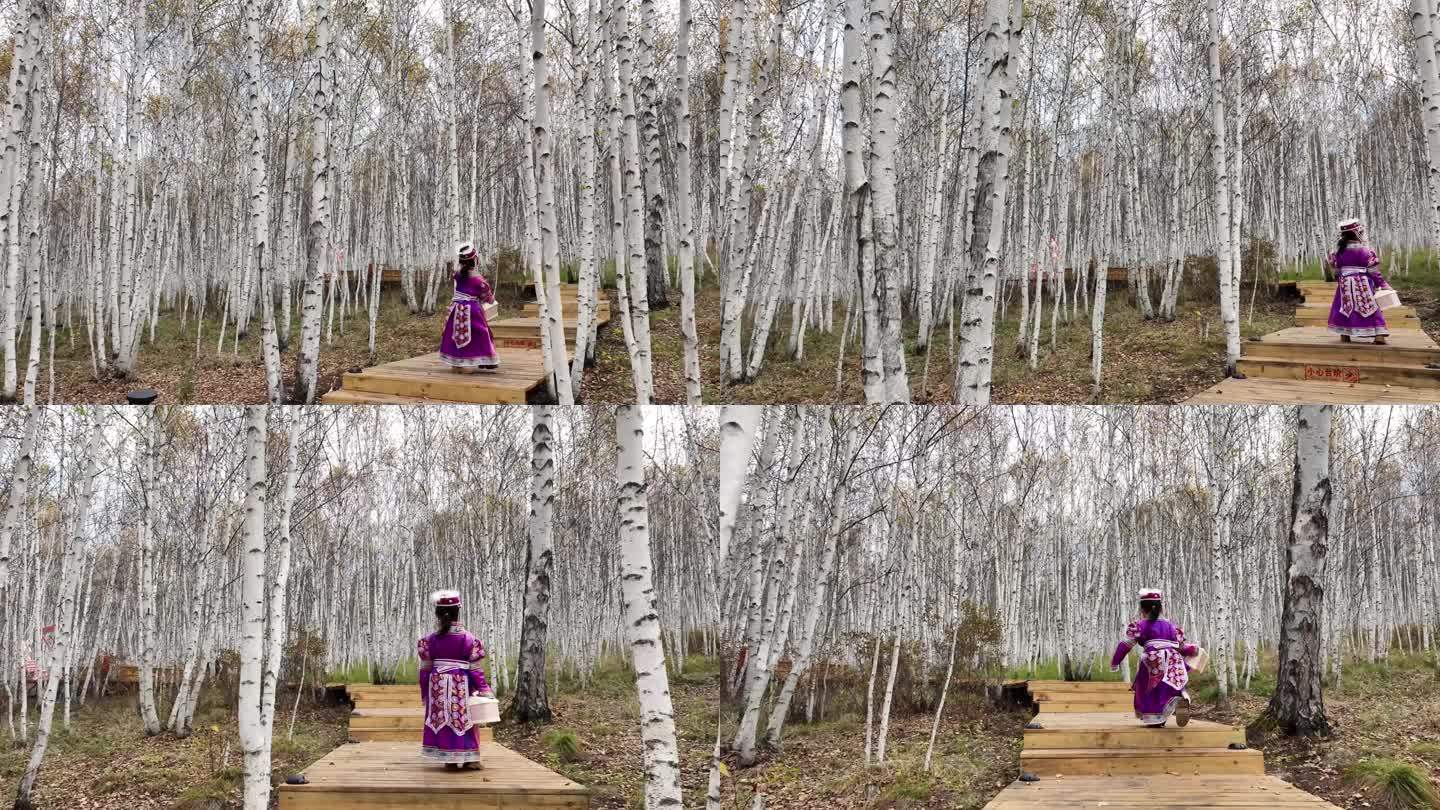 秋天白桦林一位蒙古族女孩在林中奔跑