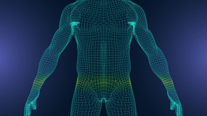 升降镜头扫描人体三维线框