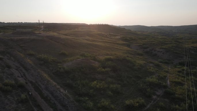 陕北黄土高原羊群牧草环境地貌植被放羊2