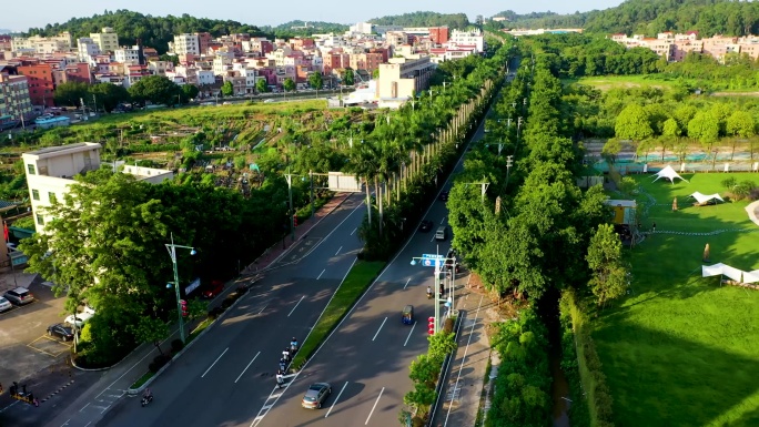 城市道路