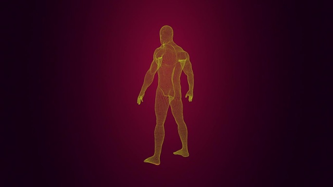 扫描人体三维线框人体三维动画视频素材人体
